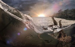 'Nghĩa địa hóa thạch' tiết lộ thảm kịch kinh hoàng 66 triệu năm trước