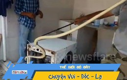 Phát hiện con rắn dài gần 2m trú ẩn trong máy giặt