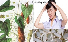 Bài thuốc chữa chóng mặt ù tai