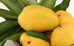 Lợi ích sức khỏe đáng ngạc nhiên của quả xoài