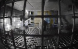 NASA mang chuột lên ISS, và chúng biến thành những con chuột bay đáng sợ thế này đây