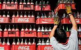 Thách thức chờ đợi Coca-Cola khi tấn công ngành sữa