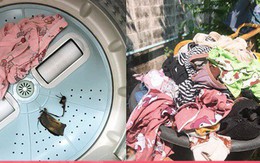 Chưa hết choáng vì vật thể lạ trong máy giặt, cô nàng đã 'cạn lời' khi thấy cách phơi quần áo của bạn cùng phòng