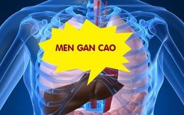 Men gan cao do đâu?