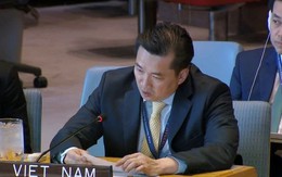 Việt Nam kêu gọi dỡ bỏ bao vây phong tỏa của Israel ở Dải Gaza