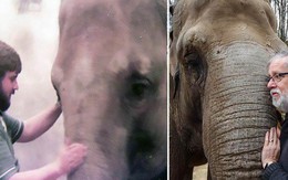 Clip: Người quản tượng xúc động khi con voi 52 tuổi vẫn nhận ra ông sau 32 năm xa cách