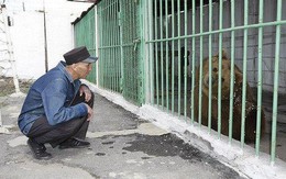 Lạ lùng gấu bị tù chung thân ở đảo tù nghiêm ngặt