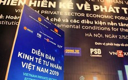 'Sếu đầu đàn' Vingroup, Thaco... hiến kế gì để phát triển kinh tế tư nhân?