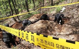 Hàn Quốc phát hiện hơn 90 mảnh xương trong khu phi quân sự