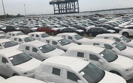 Hải quan TPHCM: Ô tô nhập khẩu tăng cao, tăng thu 4.000 tỷ đồng