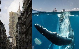30 khoảnh khắc đẹp đến nghẹt thở từ vòng chung kết Cuộc thi ảnh Du lịch Địa lý Quốc gia 2019