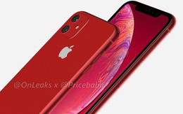 iPhone XR 2019 lộ ảnh dựng đầy thất vọng: Camera kép to lồi, viền màn hình vẫn dày "tổ chảng"