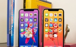 Đây là những thông tin mới nhất về bộ ba bom tấn iPhone mới của Apple