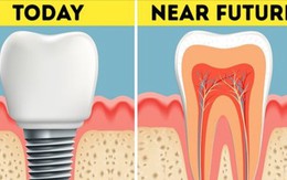 Không phải trồng răng giả nữa: Khoa học đã tìm ra cách giúp bạn mọc lại răng mới chỉ sau 2 tháng