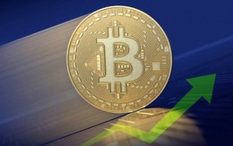 Bitcoin tiếp tục phá mốc 8.000 USD, tiền số đang thực sự hồi sinh?