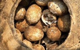 Phát hiện những quả trứng 2.500 tuổi còn nguyên vẹn trong mộ cổ