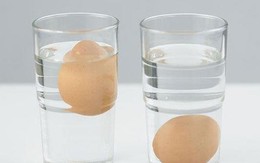 Mẹo nhận biết trứng tươi và trứng bị hỏng