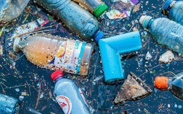 Phát hiện mới này có thể sớm khiến rác nhựa trên đại dương "bay màu" như búng tay bằng Găng tay Vô cực trong Endgame