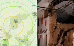 Ghi nhận thương vong trong trận động đất mạnh nhất thế giới năm 2019
