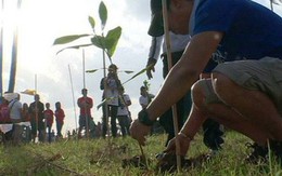 Philippines: Học sinh, sinh viên phải trồng 10 cây xanh mới được tốt nghiệp