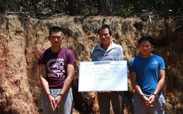 Lộ diện kẻ thuê người đầu độc gần 11ha rừng ở Lâm Đồng