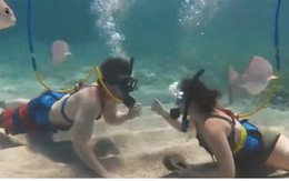 Video: Chàng trai cầu hôn bạn gái dưới đáy biển Caribe cực ấn tượng