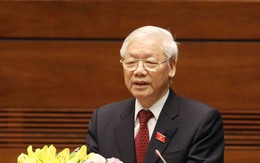 Tổng Bí thư, Chủ tịch nước: Việt Nam là đối tác tin cậy vì hòa bình bền vững