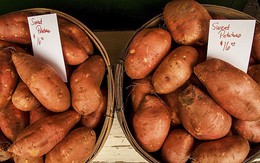 Khoai lang - "thần dược" cho sức khỏe