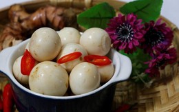 Thuốc hay từ quả cà pháo