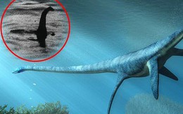 Phát hiện 'quái vật hồ Loch Ness ngoài đời thực' hơn 70 triệu năm