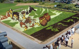 Biến ruộng lúa thành tranh vẽ đẹp như mơ, làng quê nghèo nước Nhật tưởng bị quên lãng bỗng trở thành điểm du lịch nổi tiếng