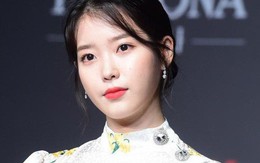 Nữ đại gia ngầm Kbiz: IU tậu biệt thự, tiện "thầu" luôn khu đất nghìn mét vuông chỉ để... nghỉ cuối tuần