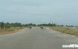 Cận cảnh dự án đường nghìn tỷ đồng dang dở, bỏ hoang, trở thành nơi chăn bò ở Nghệ An