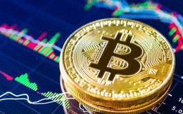 Giá Bitcoin vượt mốc 10.000 USD, nhà đầu tư phấn khích