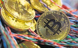 Bitcoin trở lại mốc 10.000 USD: 'Xuân này có khác xuân xưa'?