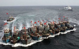 Chuyên gia Mỹ cảnh báo sẽ còn những vụ đâm tàu cá ở Biển Đông vì dân quân Trung Quốc 'quá đông và nguy hiểm'