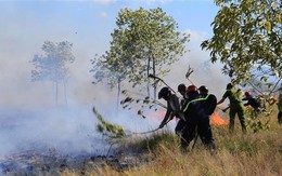 Nắng nóng gay gắt tiếp diễn ở Bắc và Trung Bộ, nguy cơ cháy rừng cao