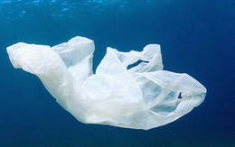 Cuộc cách mạng môi trường được thế giới mong chờ: Nhựa sẽ có thể được tái chế thành CO2 và nước