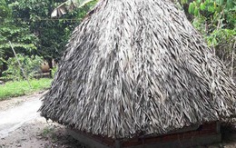 Bắt quả tang cán bộ công an Trà Vinh quan hệ với vợ người kinh doanh xăng