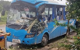 Lâm Đồng: 26 hành khách khiếp vía khi xe khách tông vào gốc cây lật nghiêng