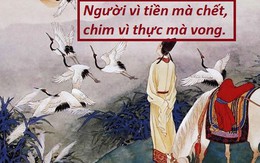 Cây lớn không giành với cỏ dại, người làm nên việc chớ cố chấp với đời: Hiểu được mới làm nên đại sự!