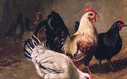 4 con giáp nữ thông minh, khéo léo, được mẹ chồng thương yêu như con gái ruột