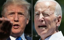 Cựu Phó Tổng thống Biden dẫn trước Tổng thống Trump trong cuộc thăm dò dư luận