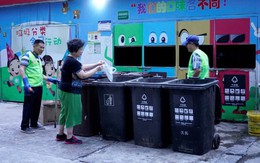 ‘Quy tắc lợn’ - Sáng kiến có giúp giải quyết vấn nạn xử lý rác thải của Thượng Hải?