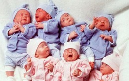 Cuộc sống của những đứa trẻ trong ca sinh 7 từng gây chấn động thế giới sau 20 năm giờ ra sao?