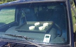 Nắng nóng kỷ lục Mỹ, ô tô biến thành lò nướng bánh