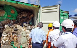 Phát hiện nội tạng, bộ phận người trong container từ Anh sang Sri Lanka