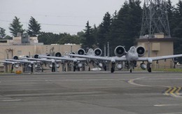 Cường kích A-10 Mỹ bất ngờ tới Hàn Quốc để răn đe Triều Tiên?