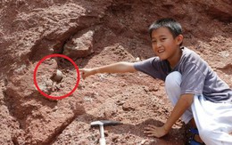 Đang đi chơi tung tăng bên bờ sông, cậu bé 9 tuổi phát hiện ra trứng khủng long 600 triệu năm khiến cả MXH phải trầm trồ