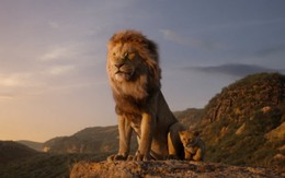 Nhà động vật học: Phim “The Lion King” mô tả hoàn toàn sai lầm vai trò sư tử đực trong thực tế